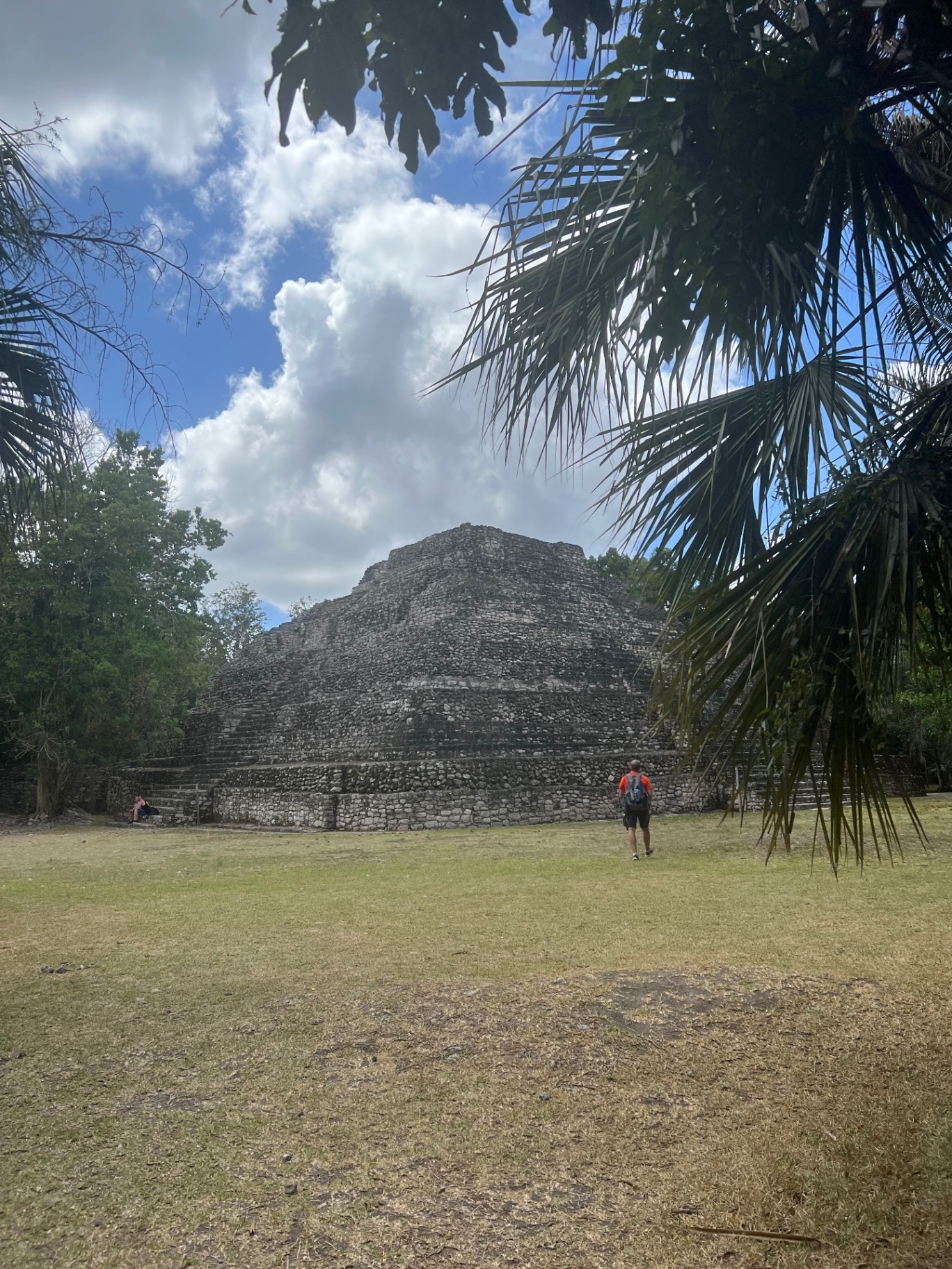 The Chacchoben pyramid framed by palm fronds and jungle canopy