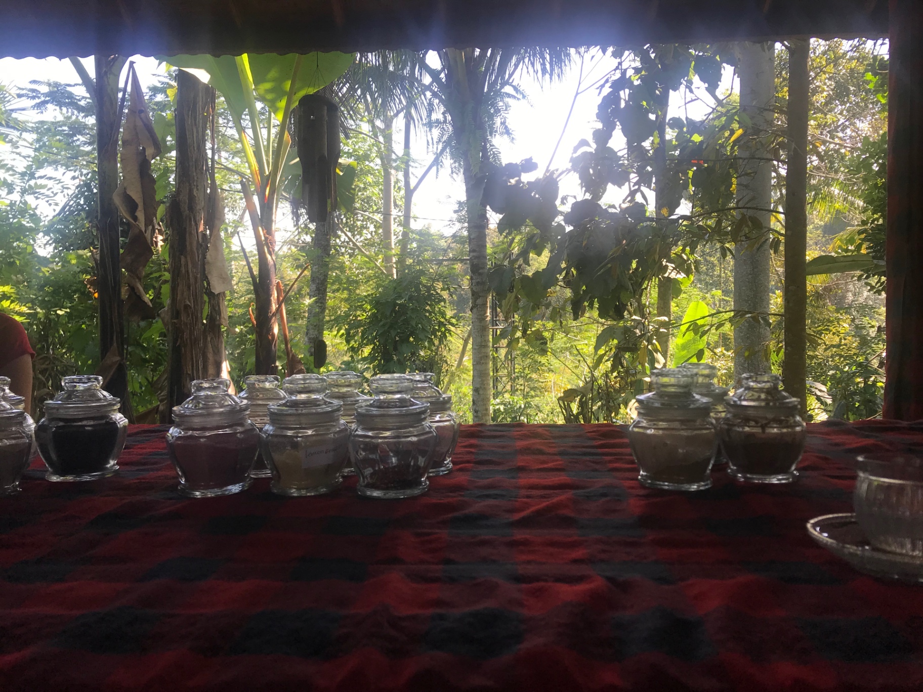 Jars of coffee and tea laid out for a tasting overlooking the Bali jungle