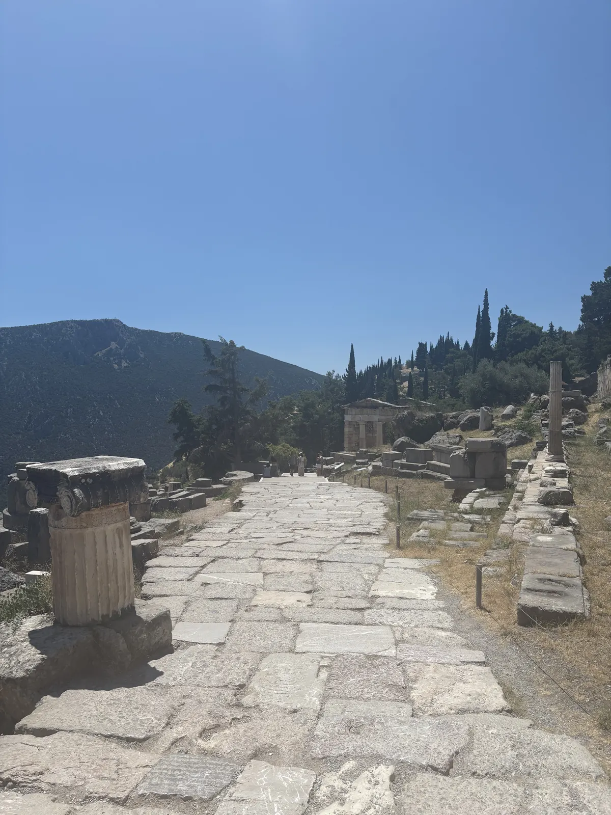 The paved Sacred Way lined with column bases at Delphi