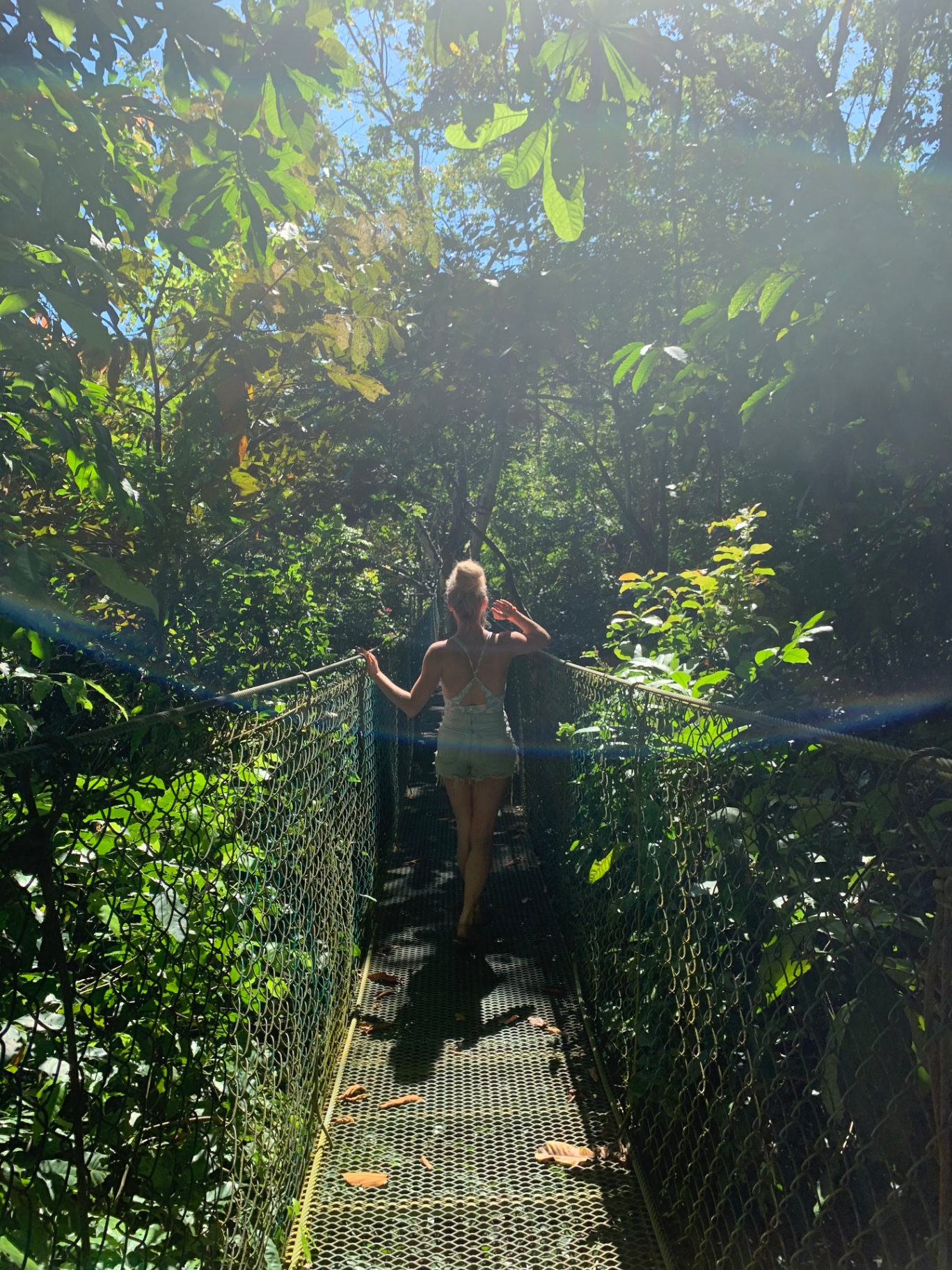 Walking a hanging bridge through the Costa Rican jungle canopy