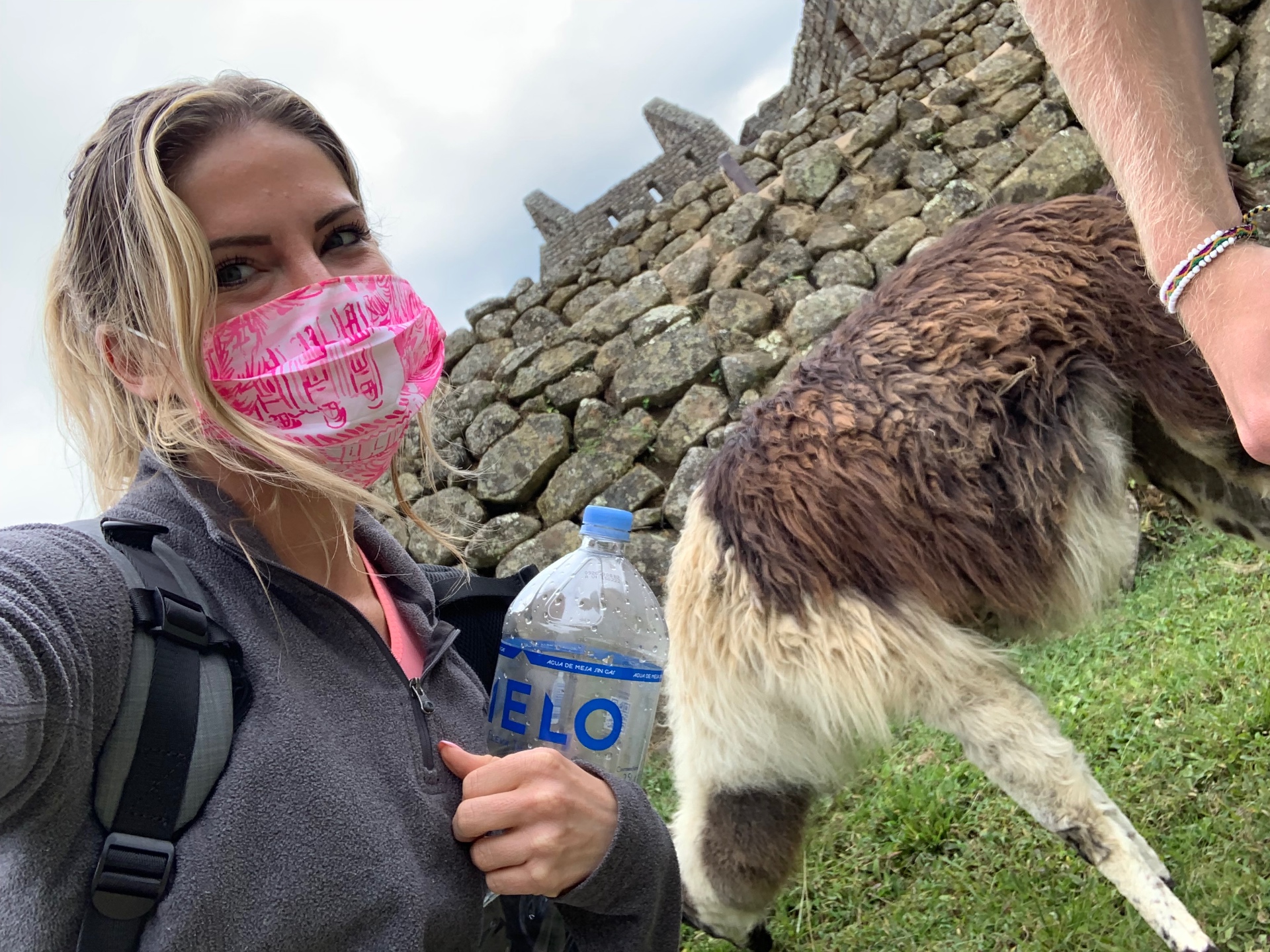 Meeting a curious llama among the stone walls of Machu Picchu