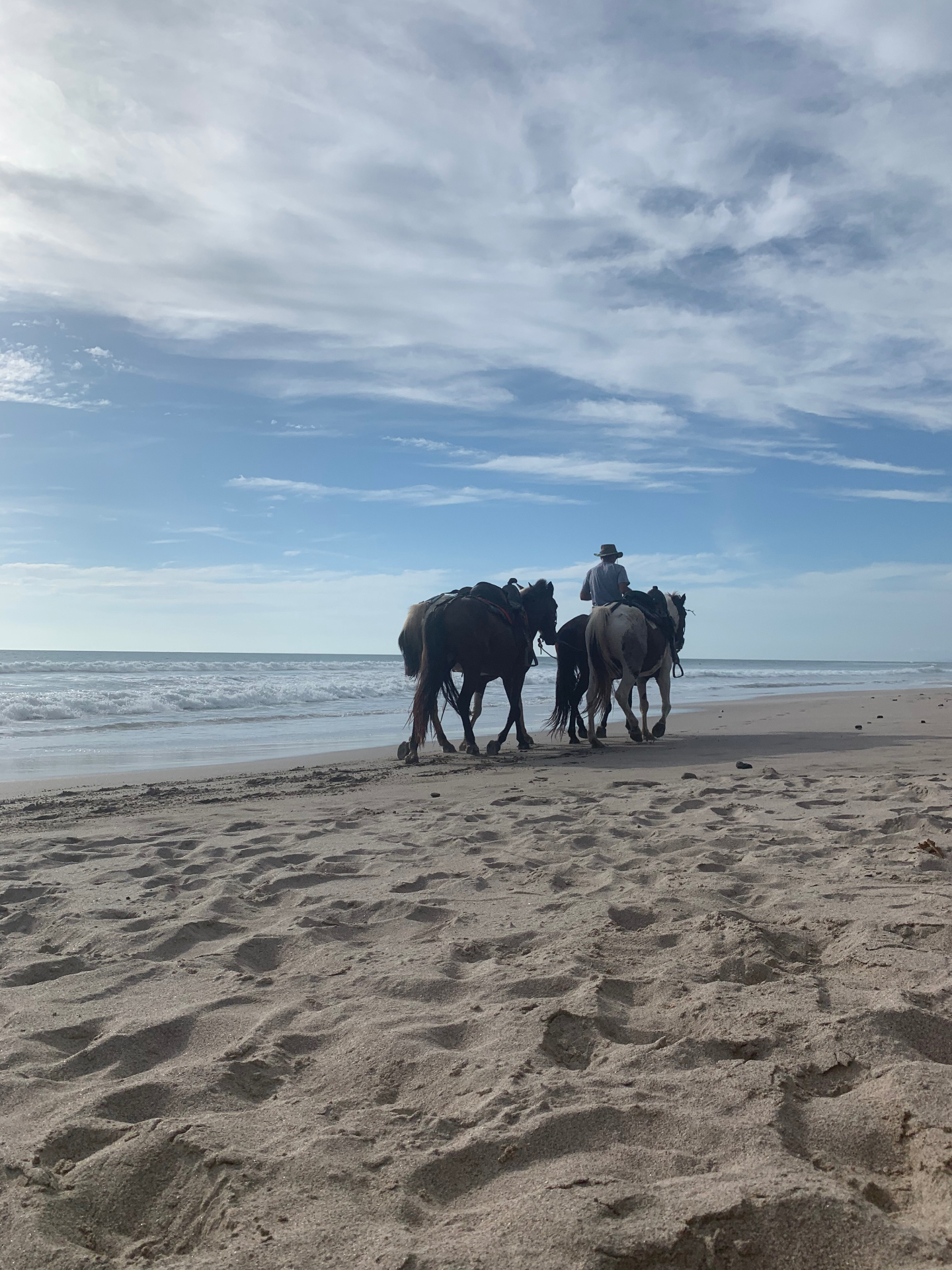 Horses and a rider walking along the shoreline at sunset in Costa Rica