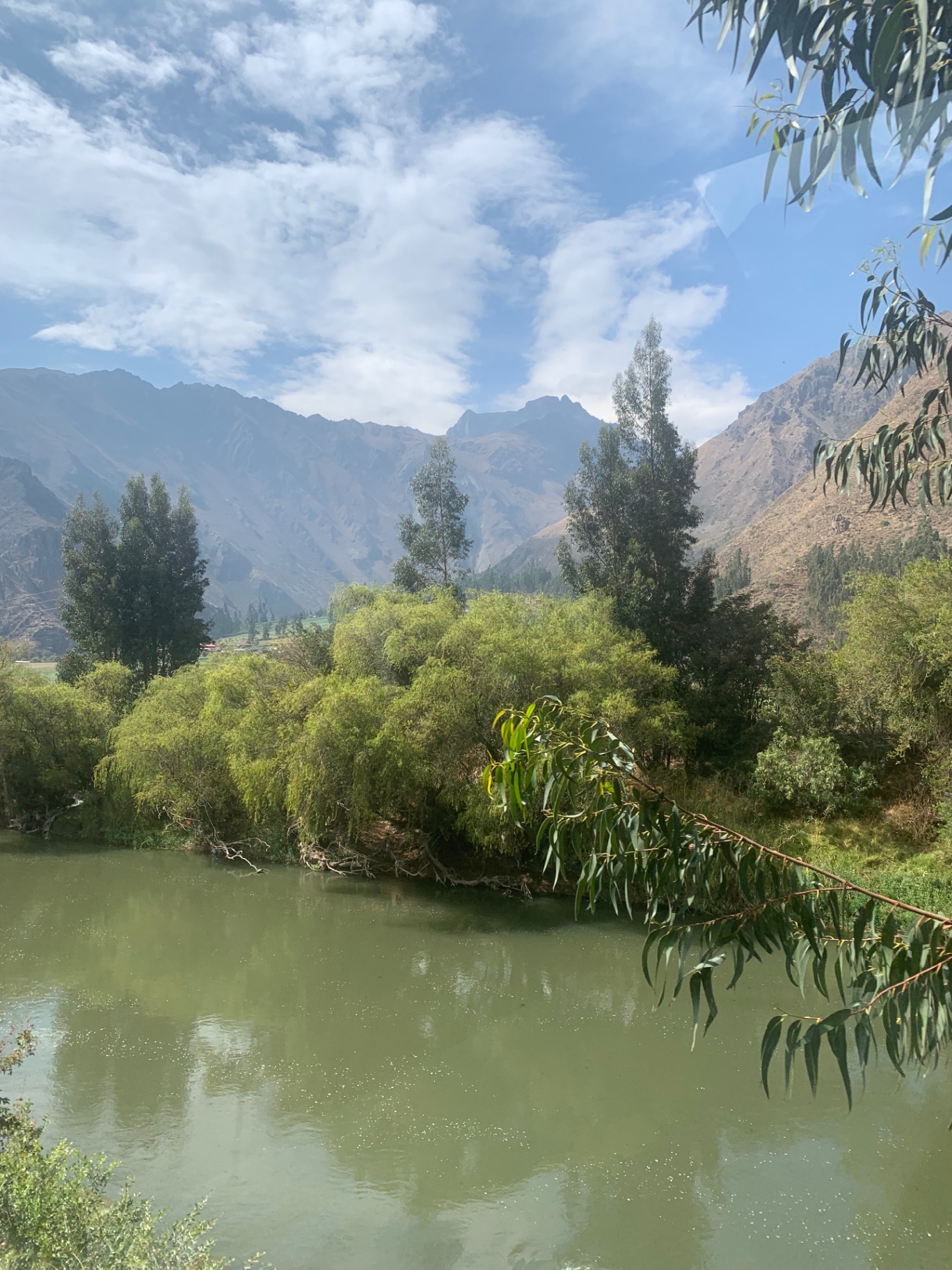 The Urubamba river and eucalyptus trees below Andean mountains