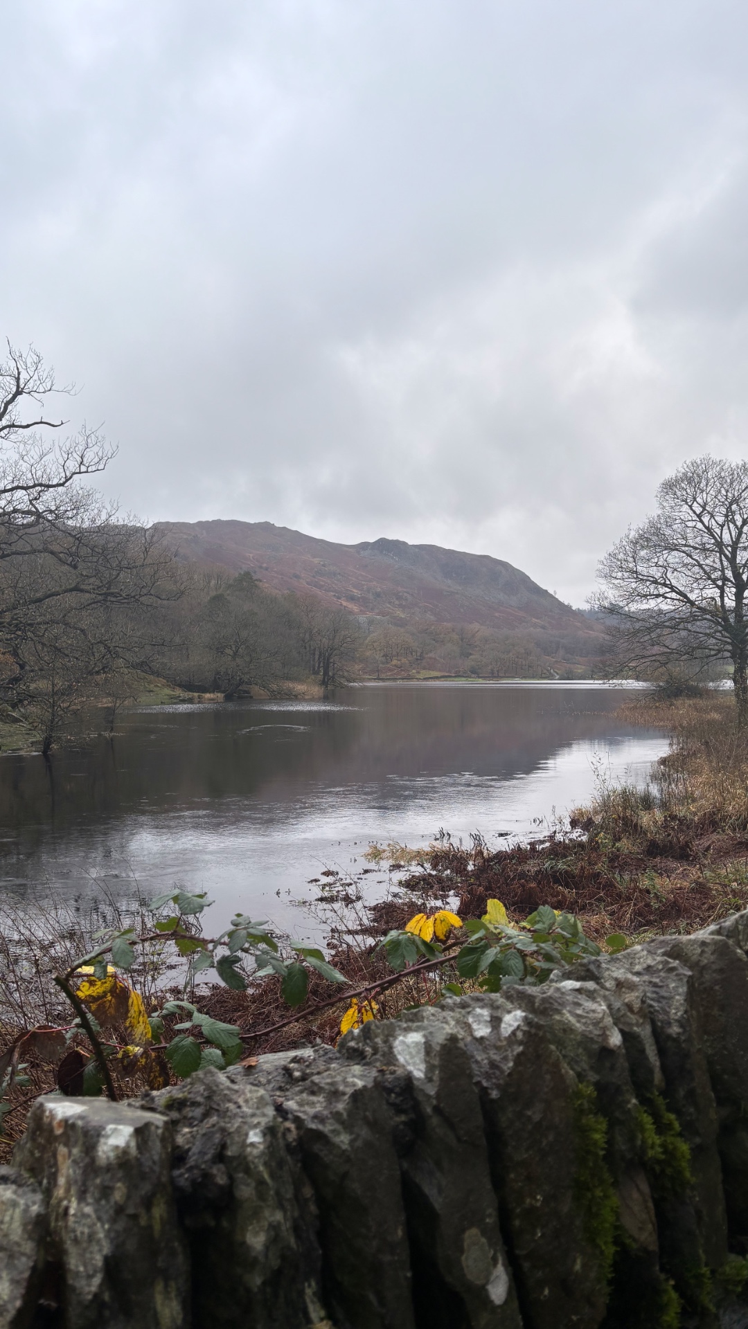 Rydal Water under low grey cloud seen over a dry stone wall