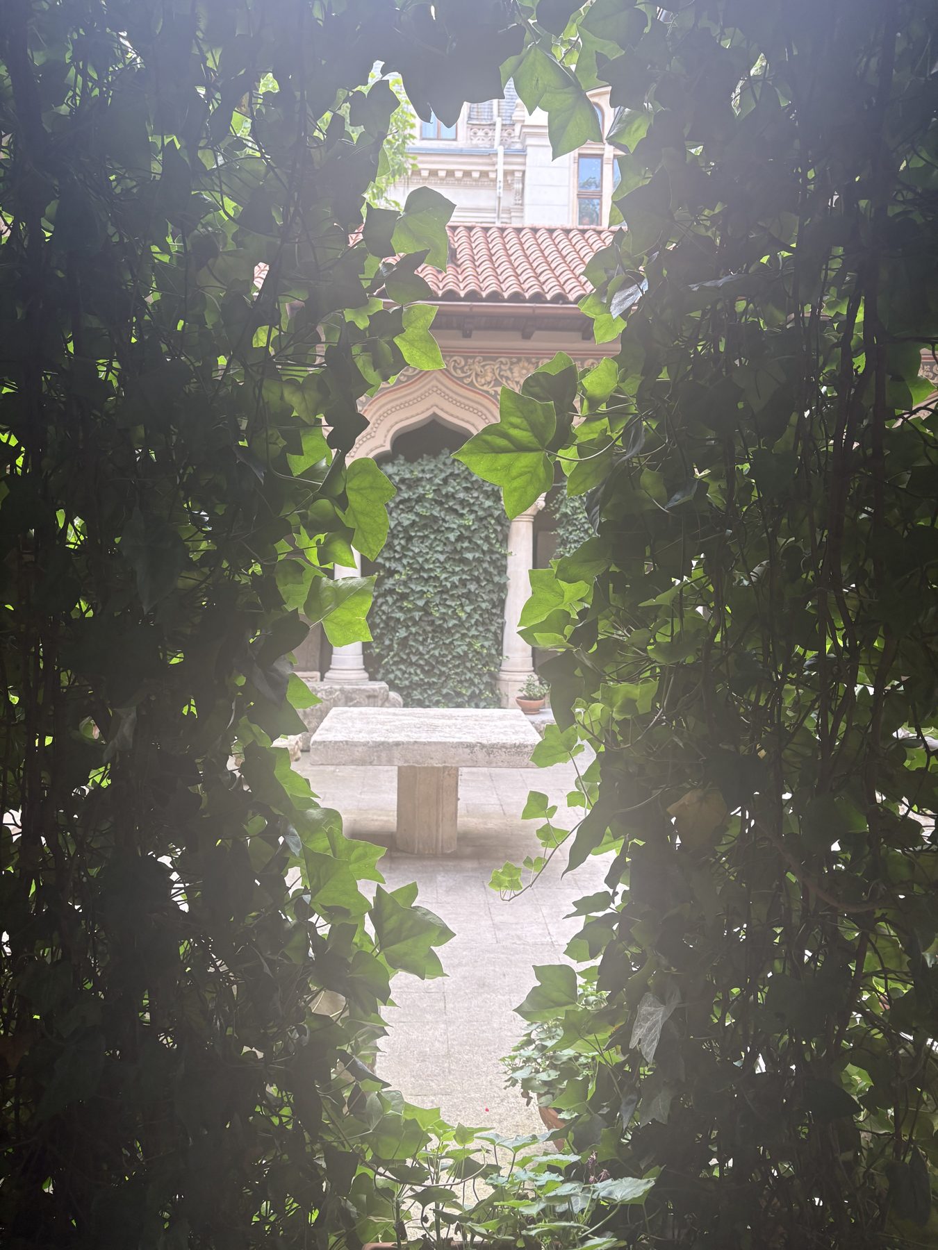 A stone plaque half covered by vines in Bucharest