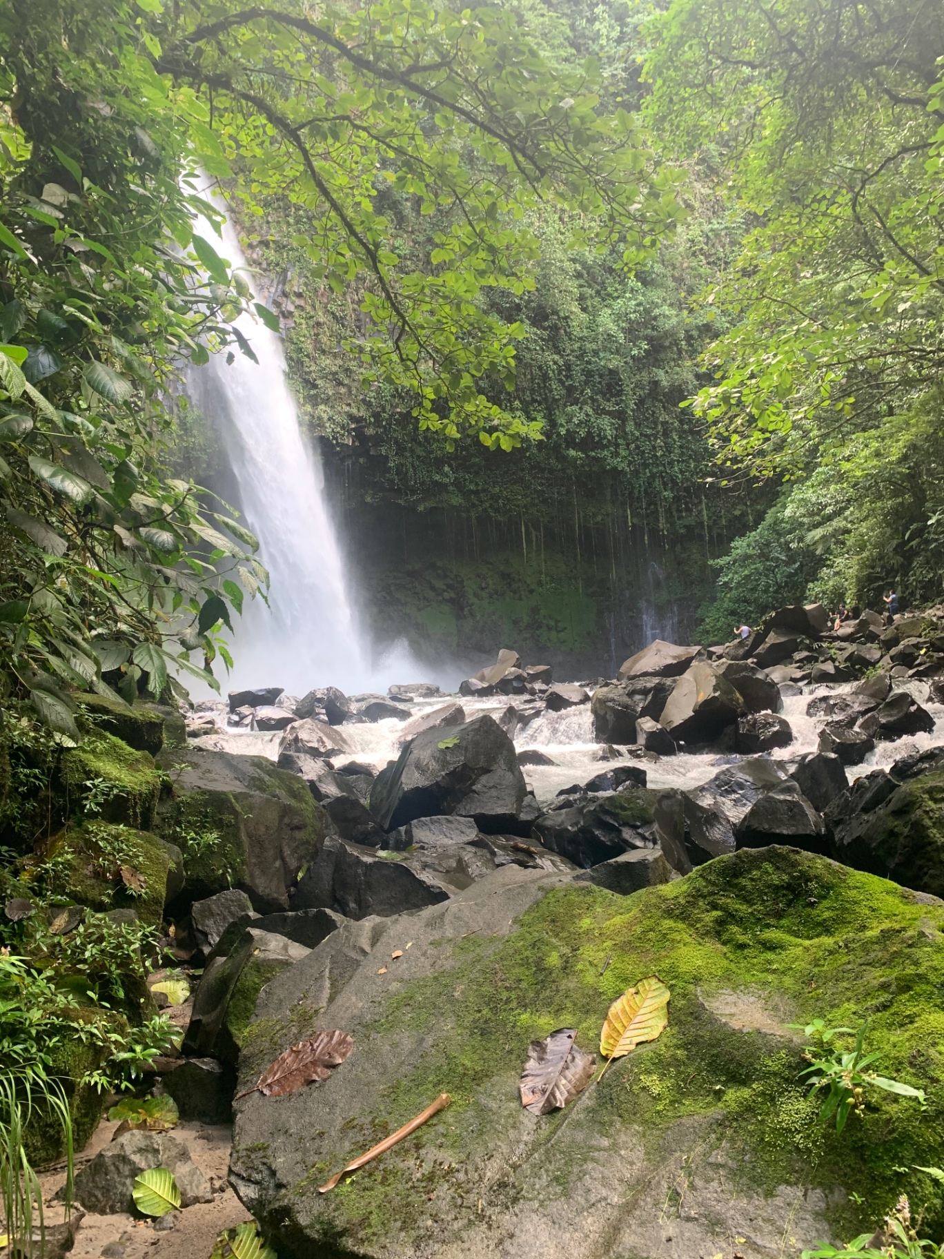 La Fortuna waterfall falling into a boulder-strewn river in the rainforest