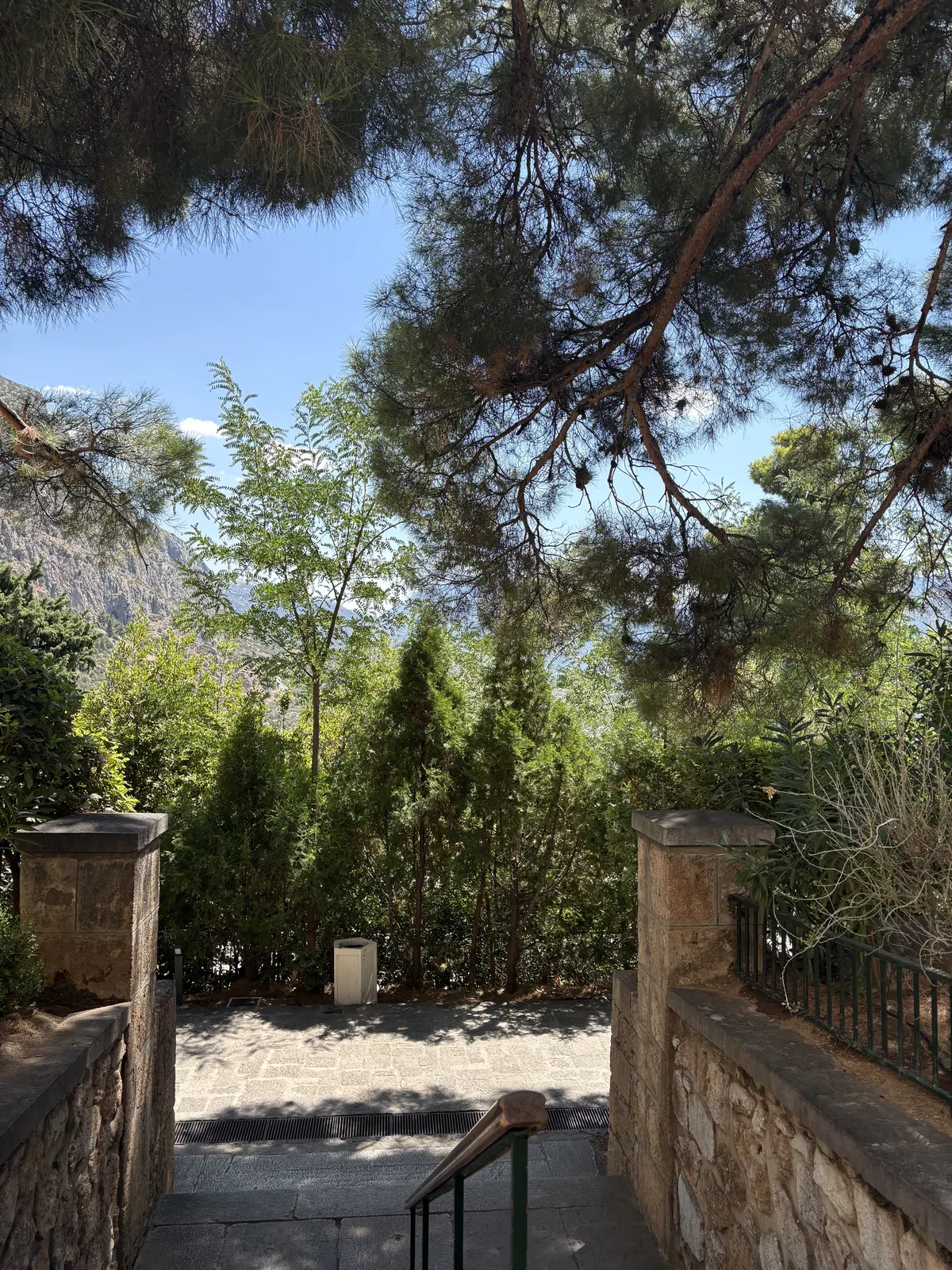 Stone steps leading into the sanctuary of Delphi through pine trees