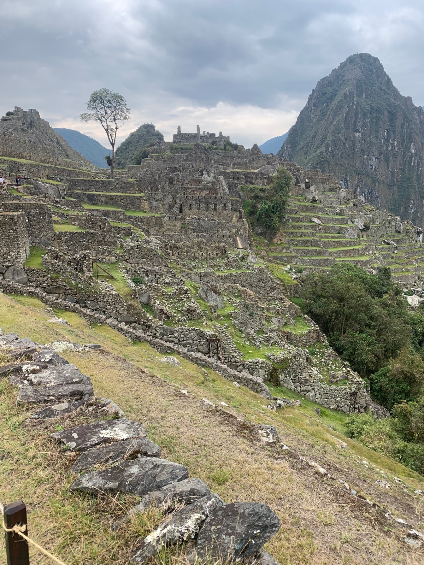 Machu Picchu terraces and stone ruins with Huayna Picchu rising behind