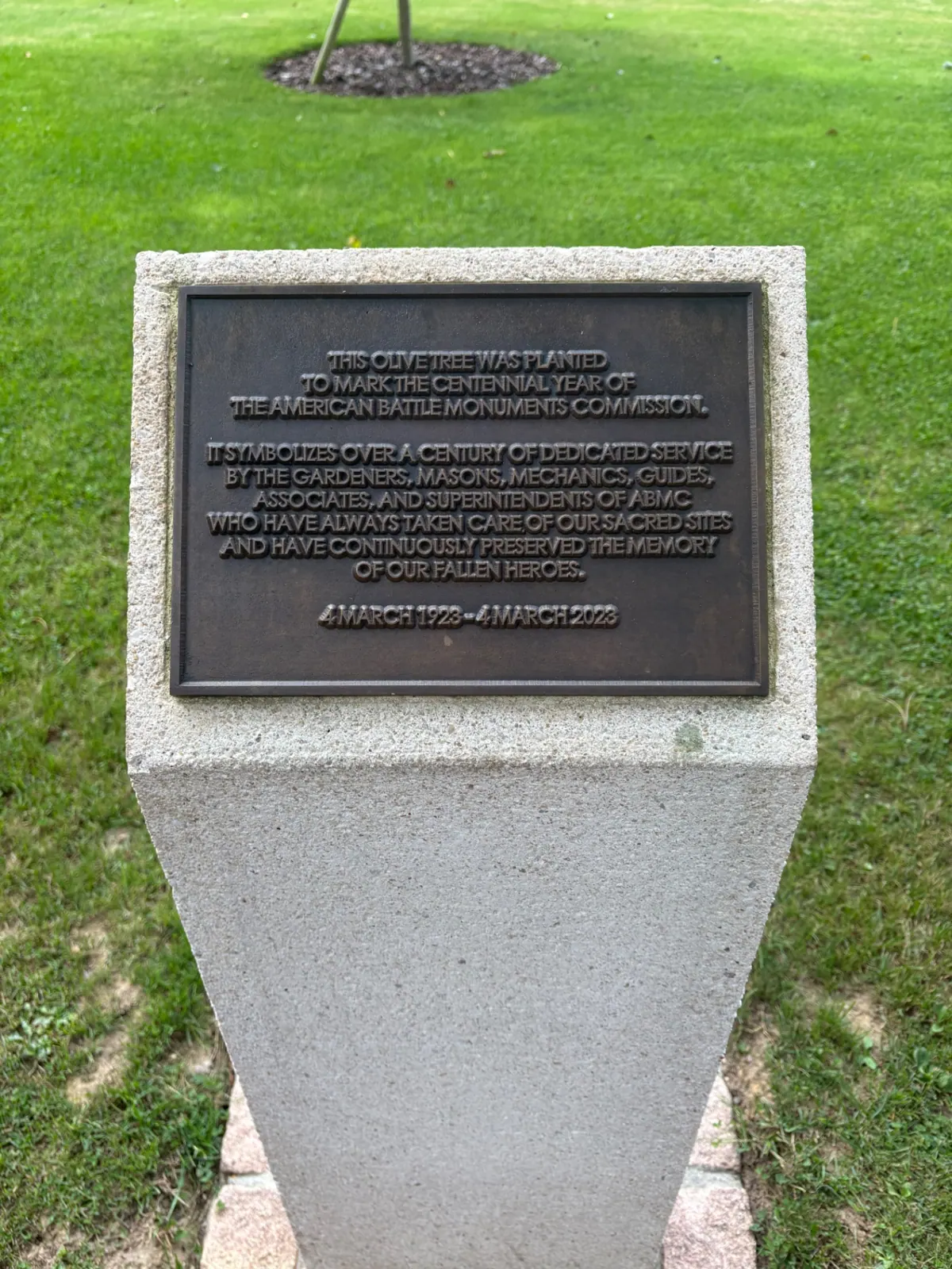 A bronze plaque on stone marking an olive tree planted for the centennial of the American Battle Monuments Commission
