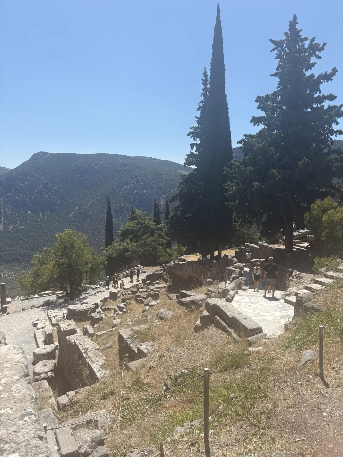 The Delphi sanctuary ruins with mountain cypress beyond
