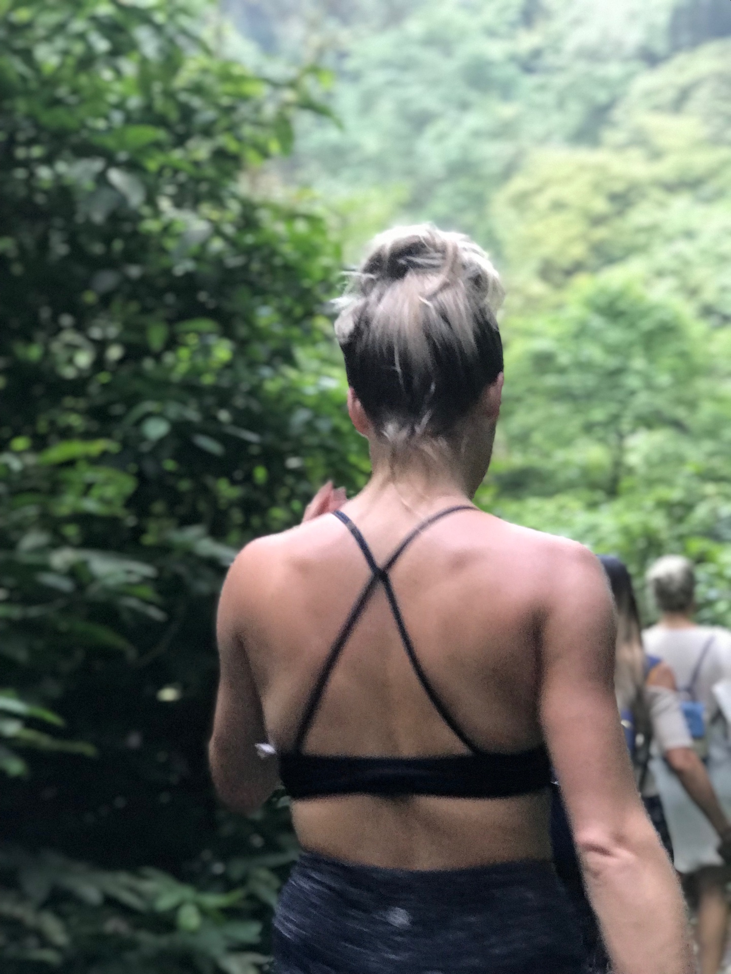 Walking the jungle trail down toward the waterfall with the group