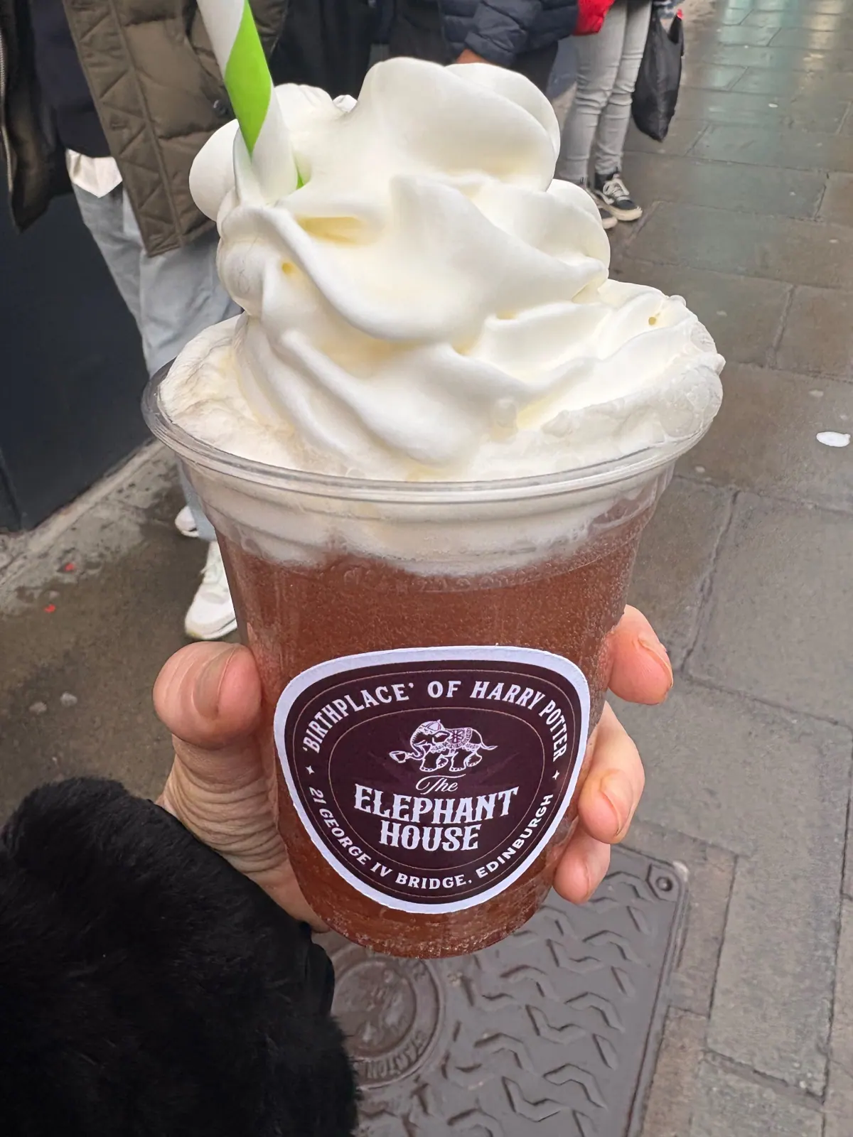 A whipped-cream topped drink from The Elephant House held on a cobbled street