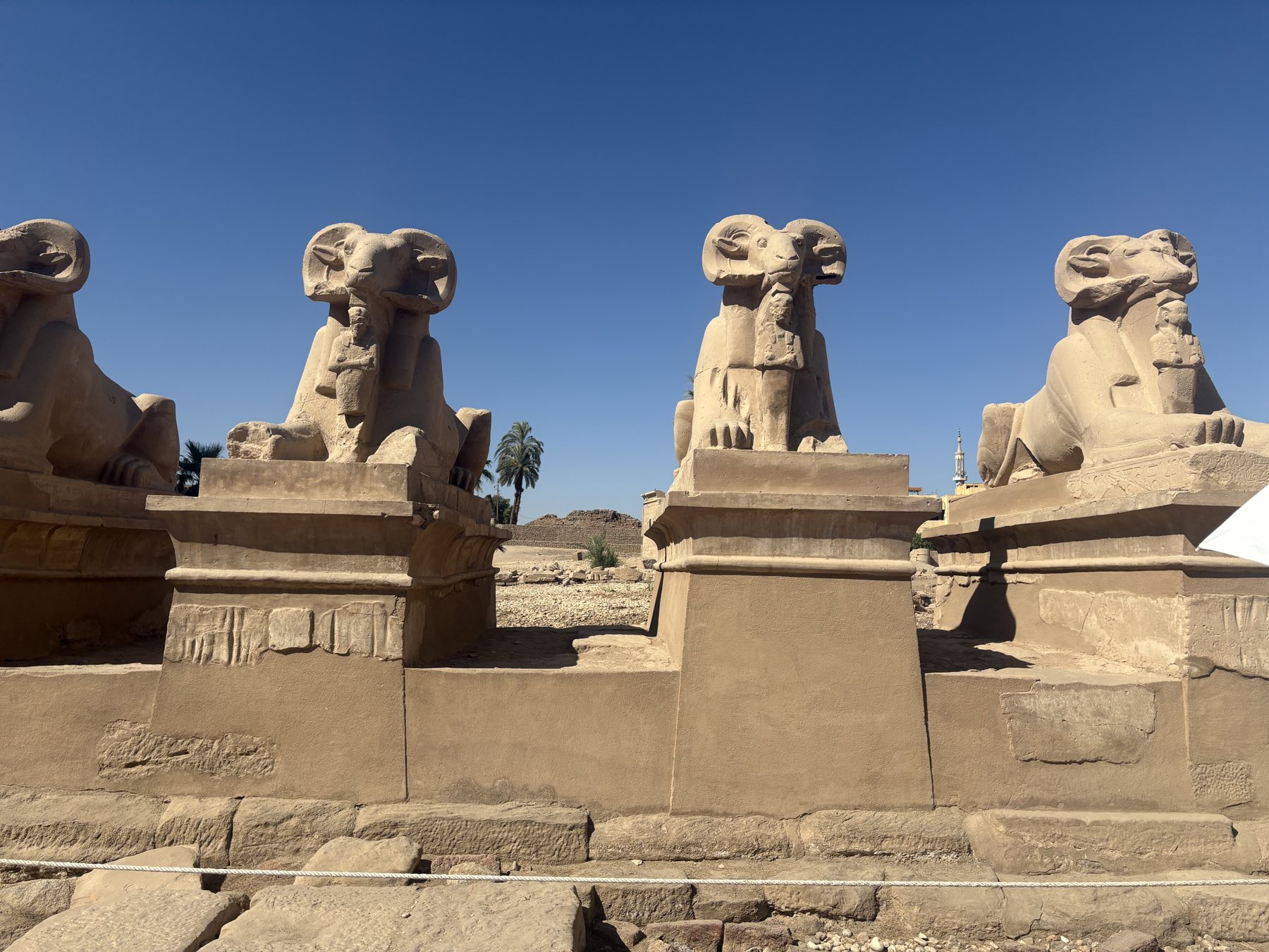 The avenue of ram-headed sphinxes at Karnak
