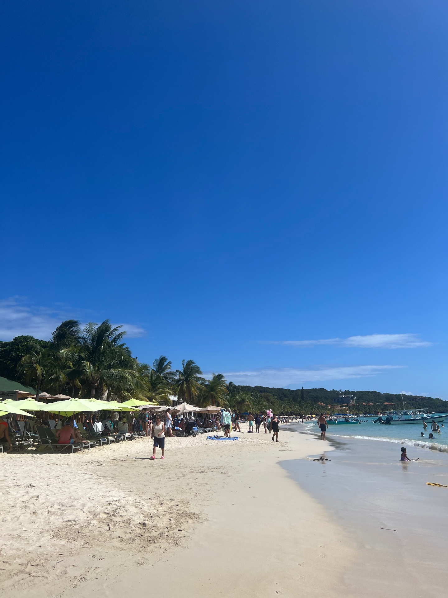 West Bay beach in Roatán, palms, green umbrellas and turquoise water