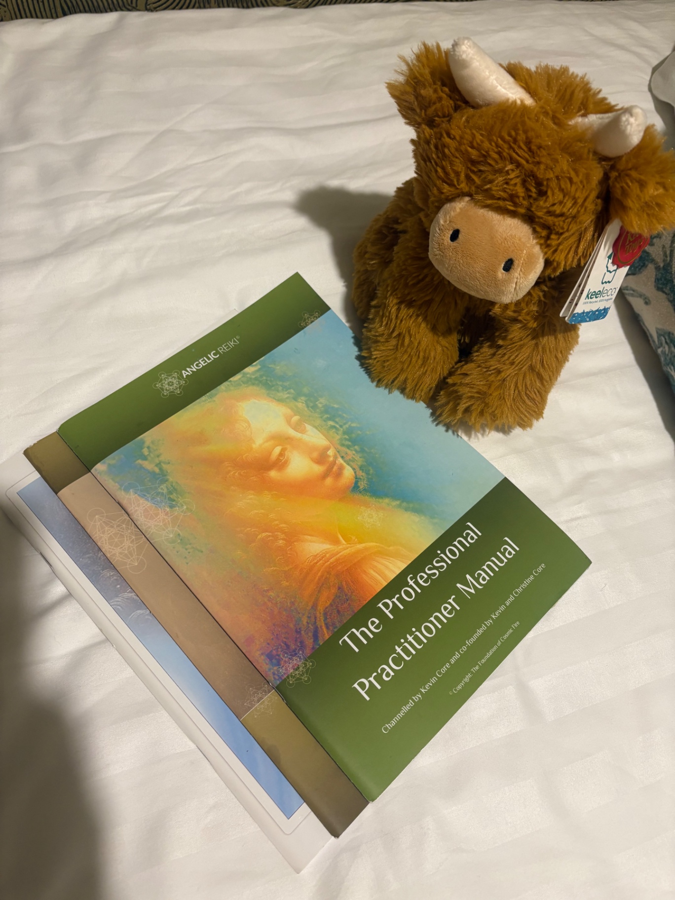 The Angelic Reiki Professional Practitioner Manual on a bed