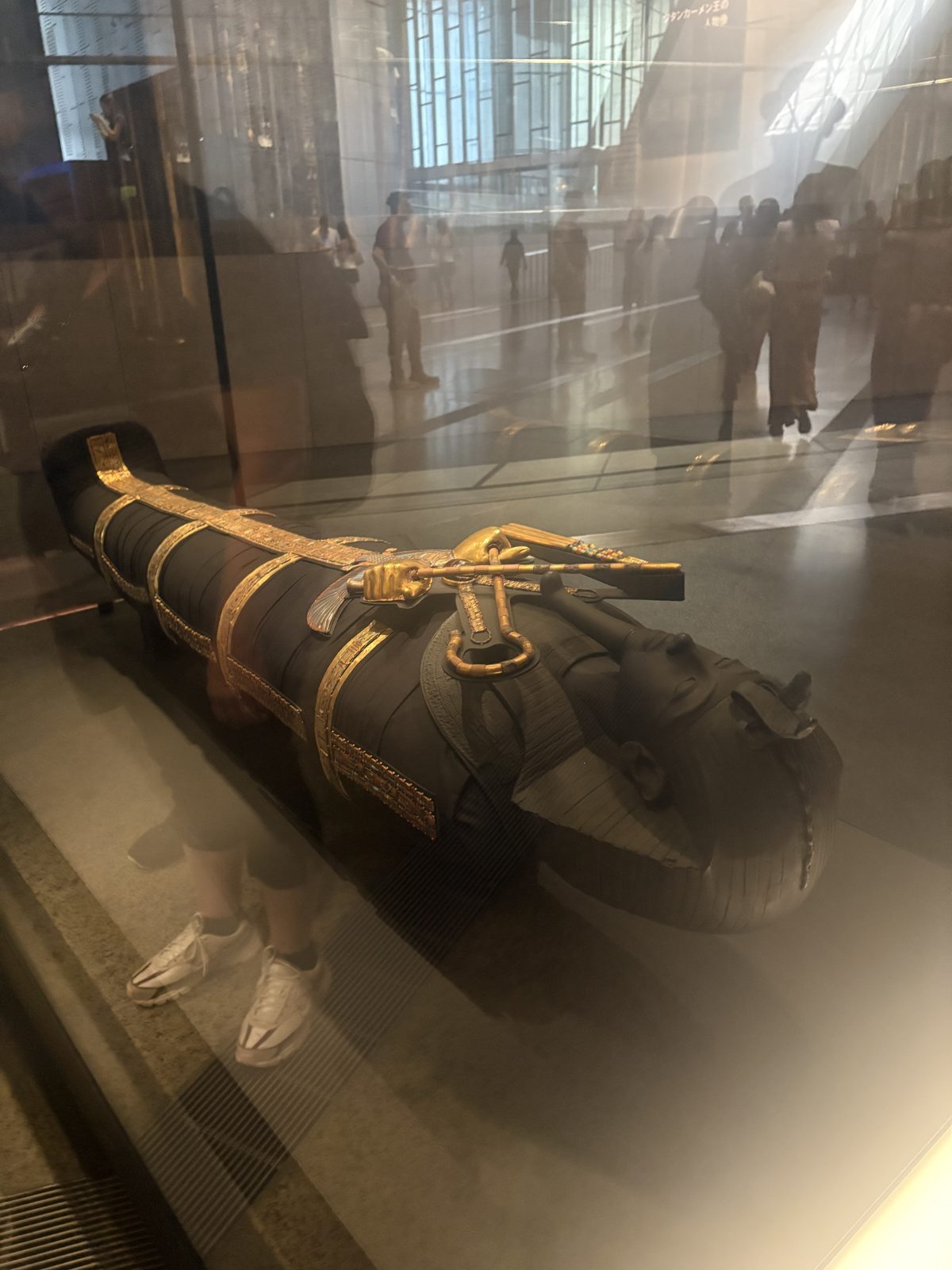 A black and gold anthropoid coffin in a museum display