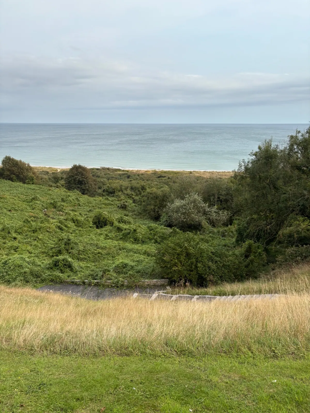 View from the bluff above Omaha Beach down over green scrub to pale sand and calm sea