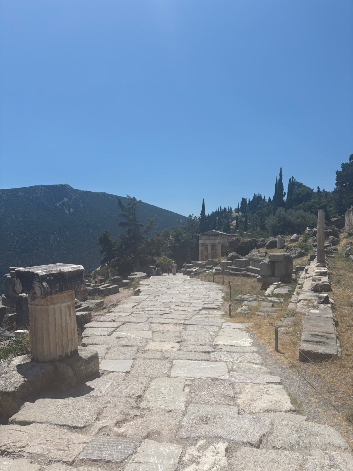 The Sacred Way winding up through Delphi