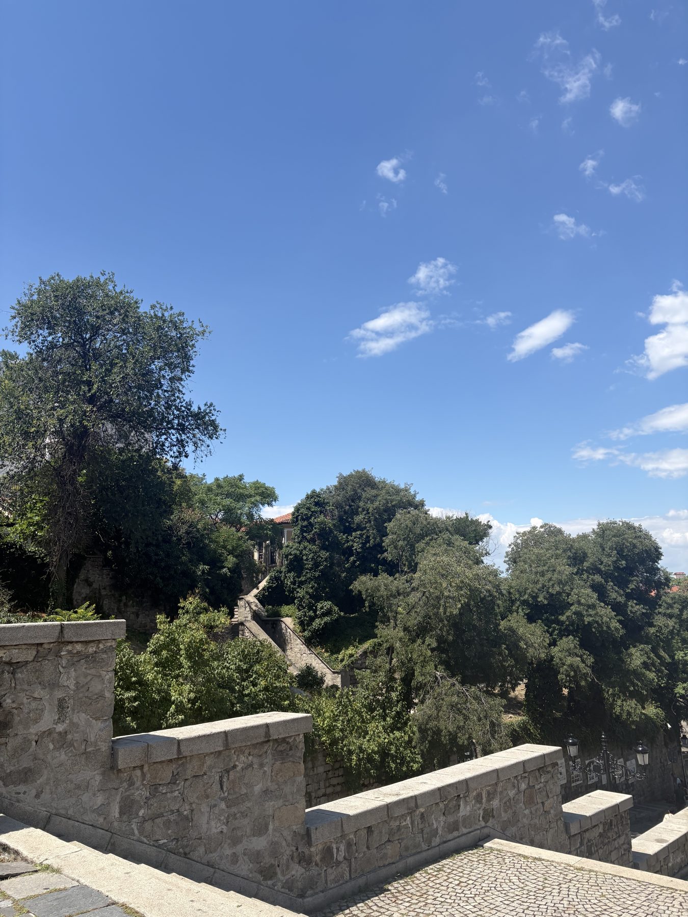 An old stone wall and treetops above the city