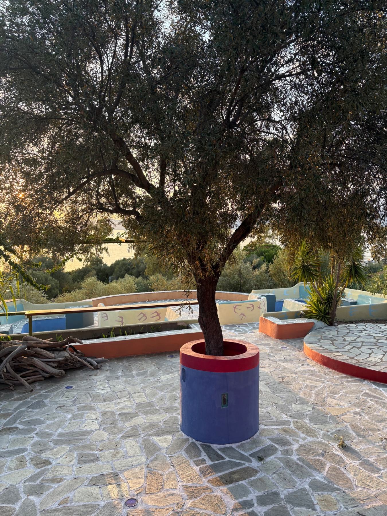A circle gathered beneath olive trees on Evia