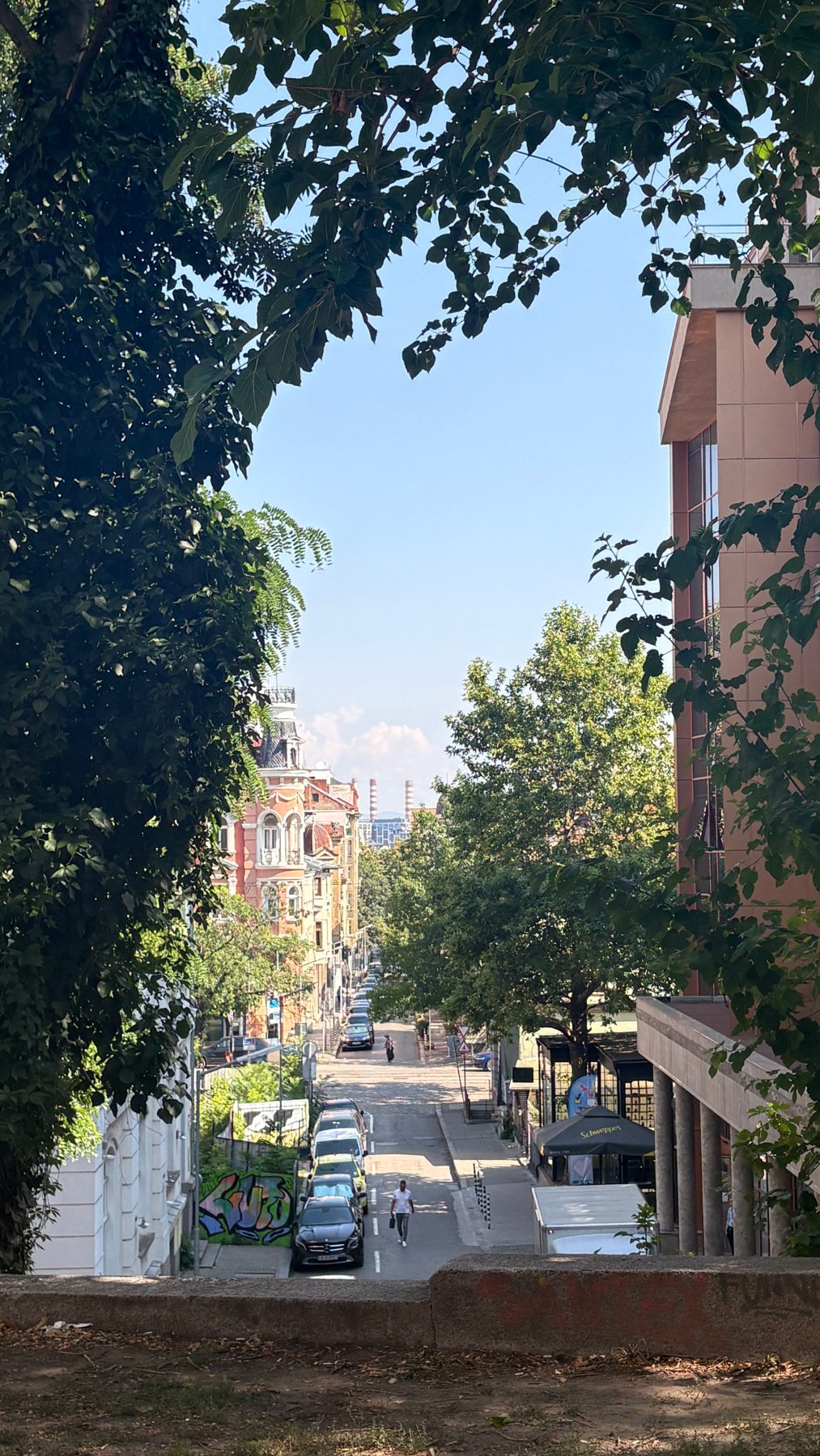 A tree-lined Sofia street with pastel buildings